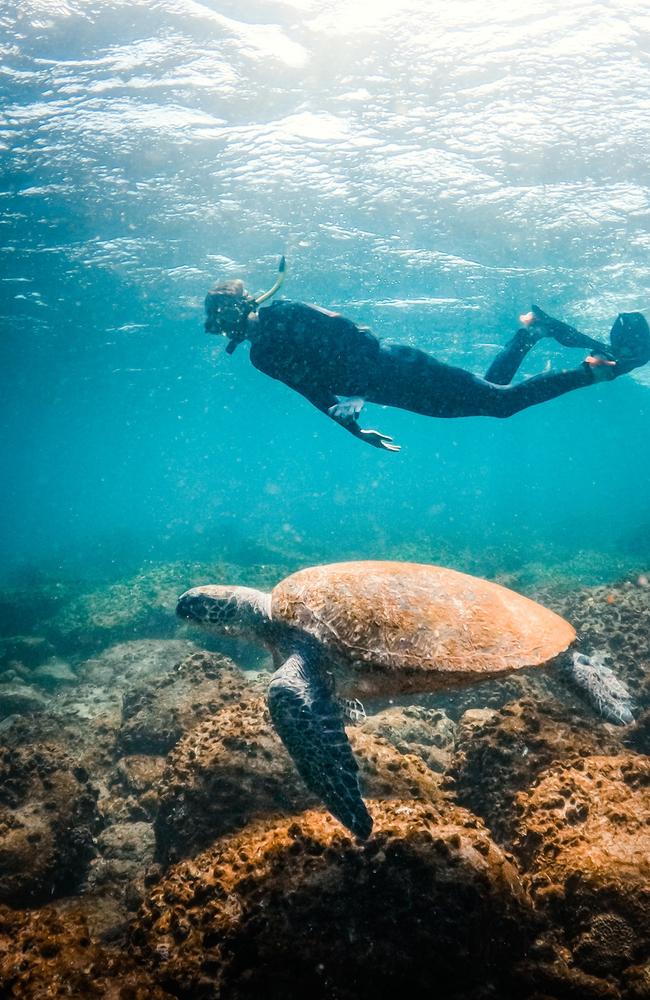 Sunreef Mooloolaba operations manager John Fell said midweek bookings had suffered since the pandemic.