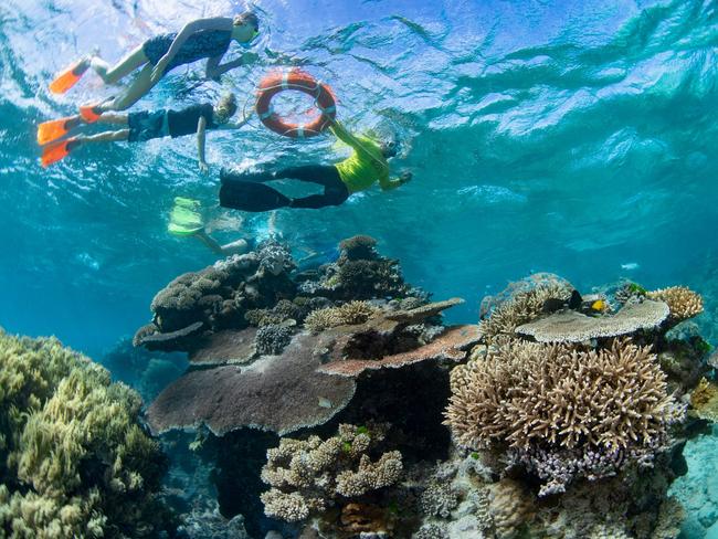 The government will spend $270 million over five years to maintain water quality on the Great Barrier Reef.