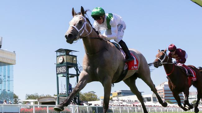 Terbium has won at Caulfield previously and will give this latest attempt a real shake.