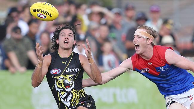 Daniel Rioli is set to sign a new deal with the Tigers. Picture: Michael Klein