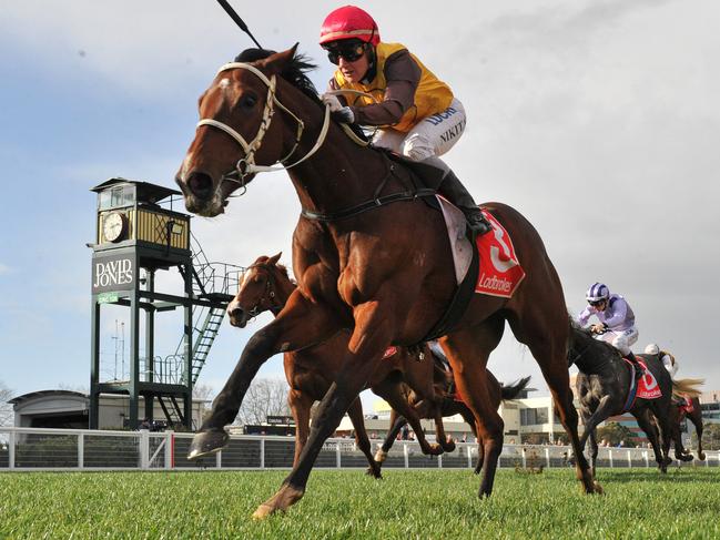 Tavirun will be going for three wins in a row at Caulfield.