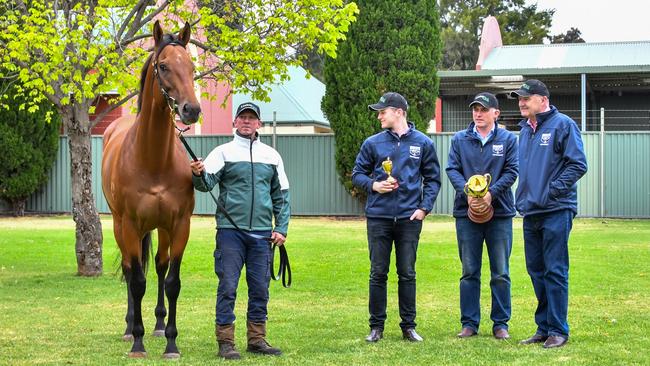 Tom Dabernig, David Hayes and Ben Hayes with Melbourne Cup hope Boom Time and his strapper. Photo: Supplied