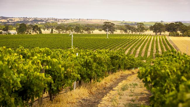 The Barossa Valley. Picture: John Kruger