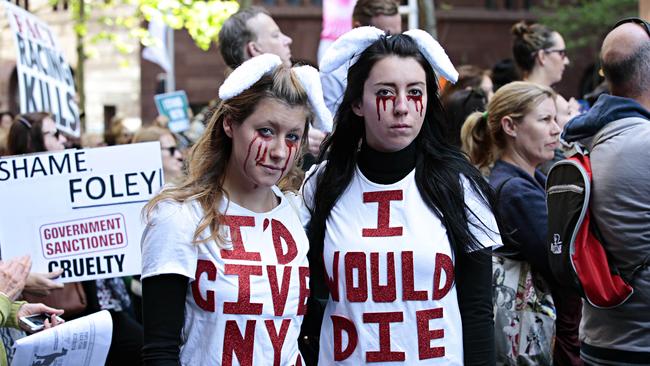 Amilia Humphries and Lolly Wilson protesting against Premier Mike Baird's backdown on the greyhound ban today. Picture: Adam Yip/ The Daily Telegraph