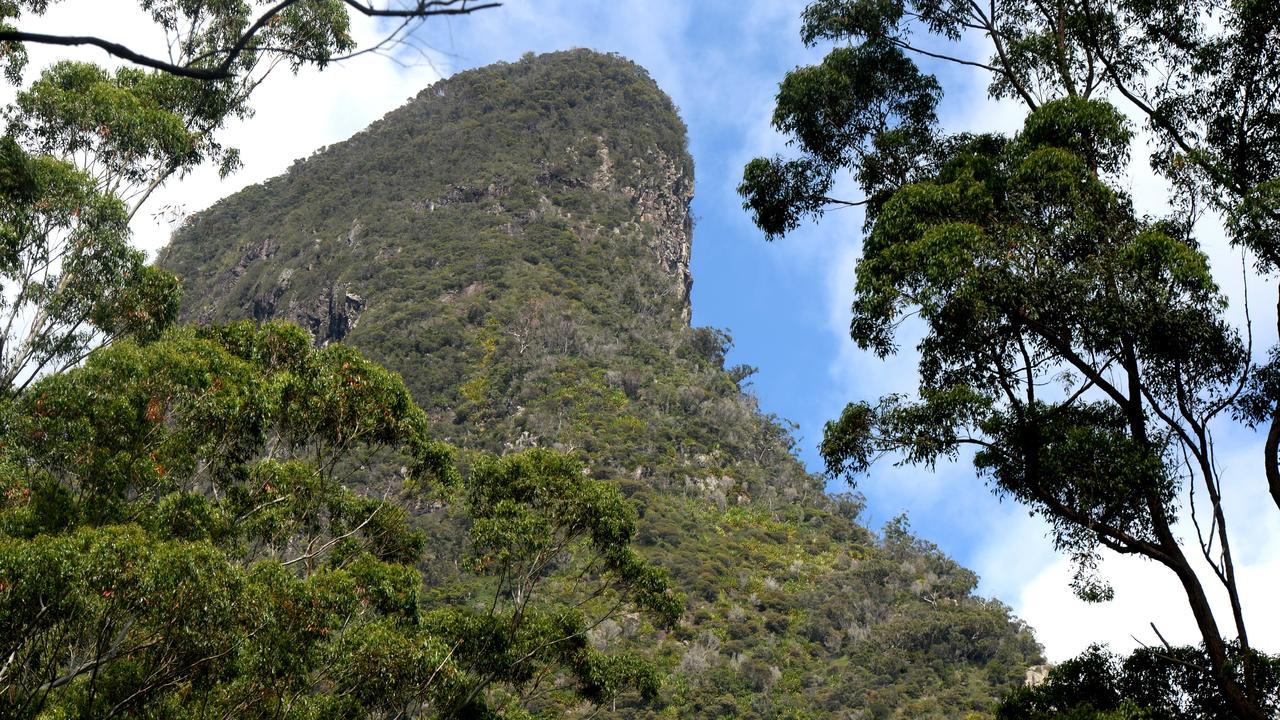 Wollumbin: Missing Hiker Csaba Varga Found Alive After Four-day Search 