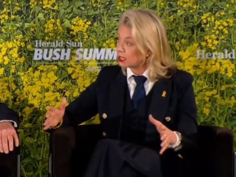 Nationals Senator Bridget McKenzie was part of a panel discussing energy at the Bush Summit.