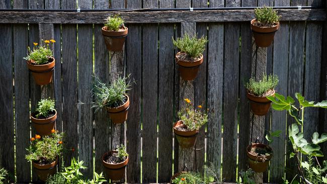 You can grow herbs and vegetables in almost any style of container as long as there are drainage holes. Picture: supplied