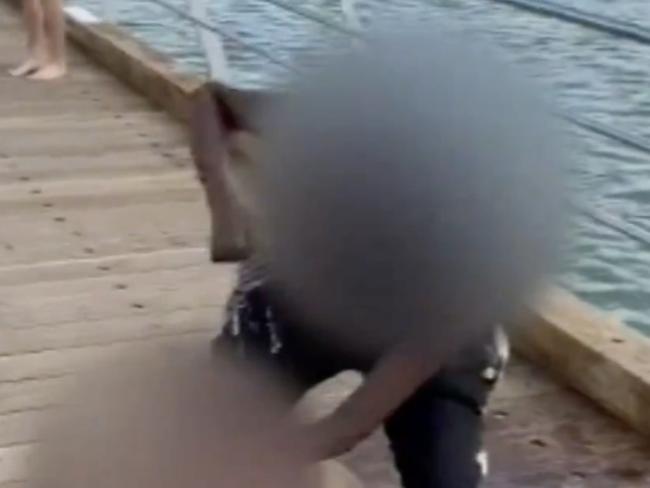 Four girls were seen in the video repeatedly punching another girl at Altona Pier.