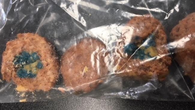 The 'rissoles' containing suspect bait, which were thrown on to a Mt Martha woman's property.