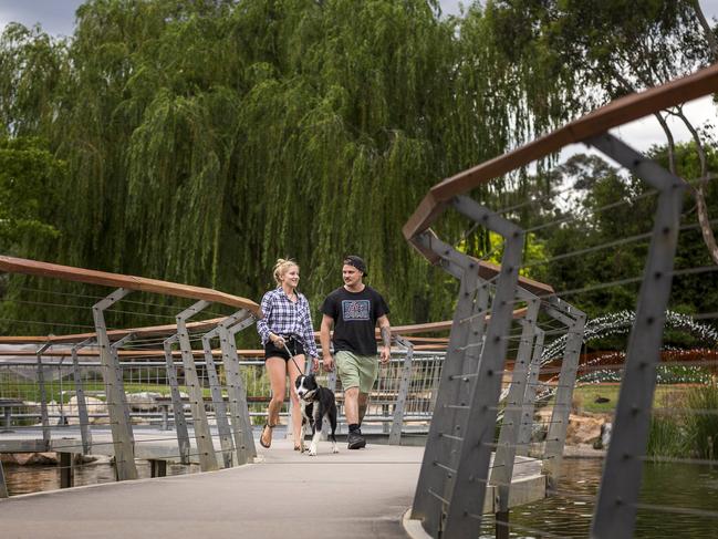 Allison & Michael take Skylar for a walk, at Tim Neville Arboretum, Ferntree Gully, Melbourne. Wednesday November 15th 2017. Photo: Daniel Pockett @picpockett #snapmelbourne