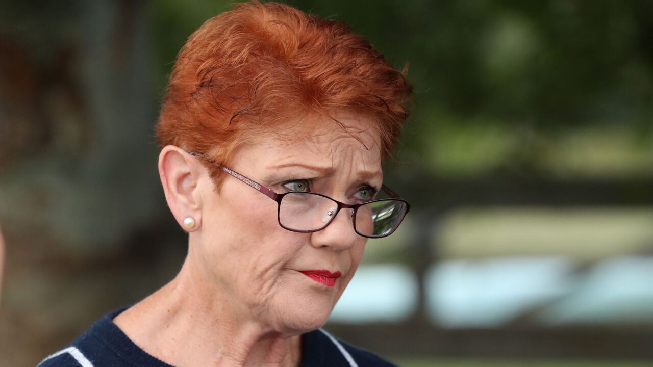 ‘Absolutely ridiculous’: Pauline Hanson on Defence Strategic Review