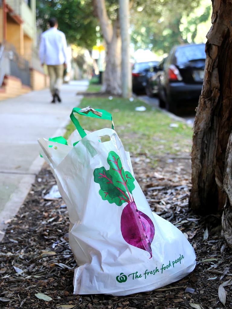 woolworths eco bags