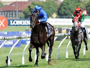 ROSEHILL GARDENS RACES