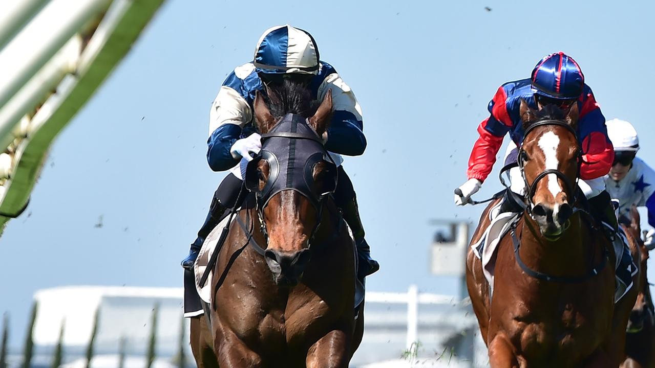 Odinson scored impressively first-up in Brisbane last campaign. Picture: Grant Peters/Trackside Photography.