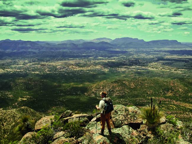 TWAM-20190302 EMBARGO FOR TWAM 2 MARCH 2019NO REUSE WITHOUT PERMISSION  FEE APPLIESWilpena and Arkaba Pic : Justine WalpoleGuide Charlie Eager looks out on Wilpena pound