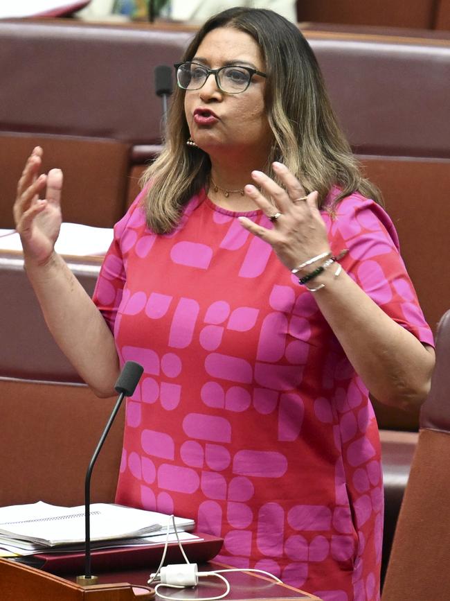 Senator Mehreen Faruqi. Picture: NewsWire / Martin Ollman