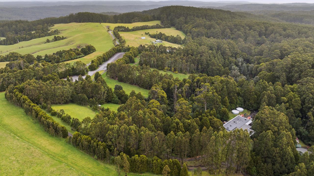 The Otway Fly is nestled in the Otway Ranges.