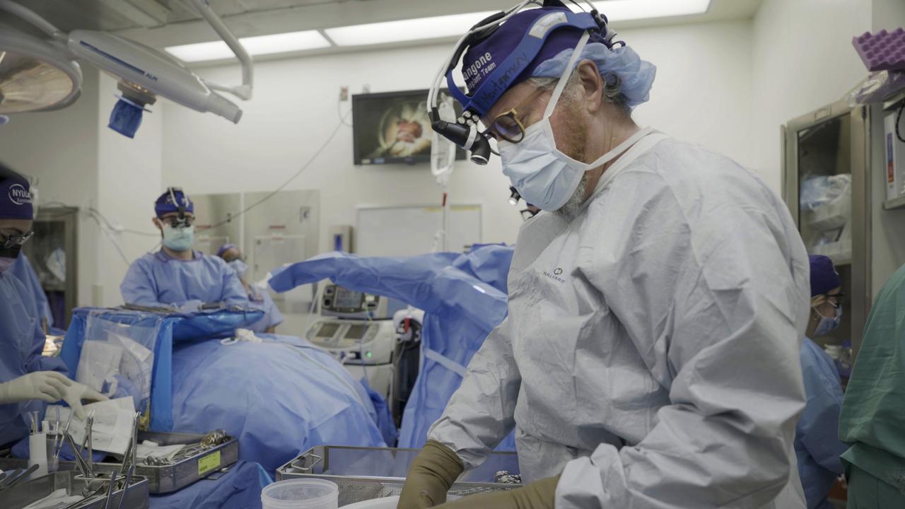 Dr. Robert Montgomery, a pioneering transplant surgeon, made history with the first genetically engineered pig kidney transplant. Picture: AP