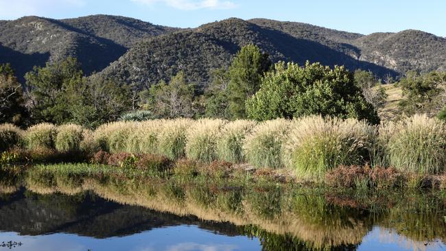 Looking across the pond to the Bluff River Nature Reserve