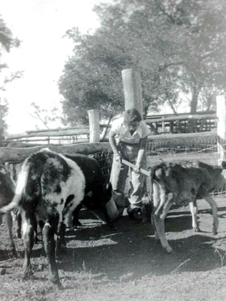 Grace Sneath feeding calves in 1956 at Banana in Central Queensland.