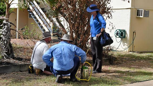 Health officials door-knocked to alert residents about dengue fever being diagnosed in their suburb. Picture: Vanessa Jarrett