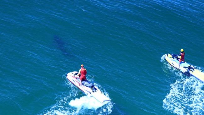 “One of the big arguments is that netted beaches are safe because there’s not been many attacks on them,” Southern Cross University academic Dr Danny Bucher said. Pic: Shark Smart.