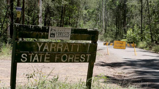 Mr Beauchamp’s body was located in a small clearing of bushland. Picture: Nathan Edwards