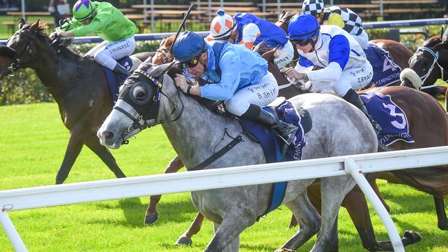 Le Zebra can get back in the winner’s circle on Saturday. Picture: Reg Ryan/Racing Photos via Getty Images