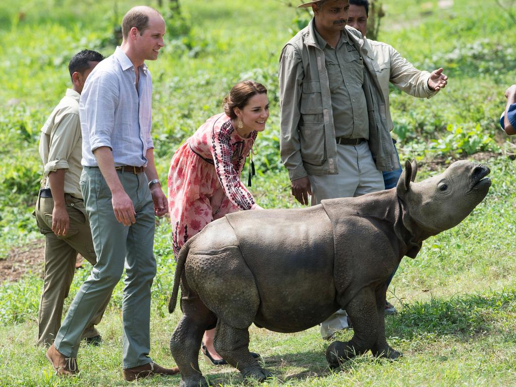 Catherine, Duchess of Cambridge and Prince William, Duke of Cambridge visit the Centre for Wildlife Rehabilitation and Conservation, at Kaziranga National Park on April 13, 2016 in Guwahati, India. Picture: Getty