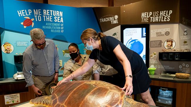 Annastacia Palaszczuk learns how to measure a turtle at Mon Repos.