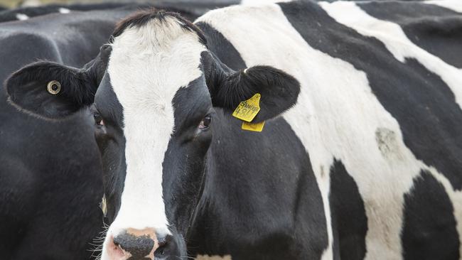 Ag Jobs Fair returns to Dalby for its third year