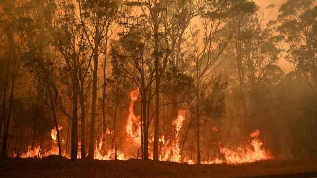 A bushfire burns in the town of Moruya, south of Batemans Bay. Picture: Peter Parks/AFP