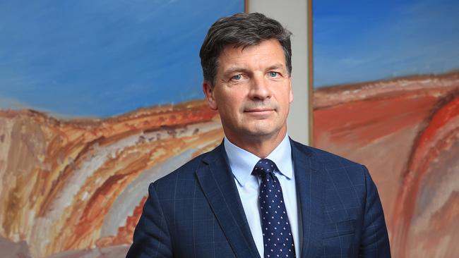 Energy Minister Angus Taylor. Picture: John Feder