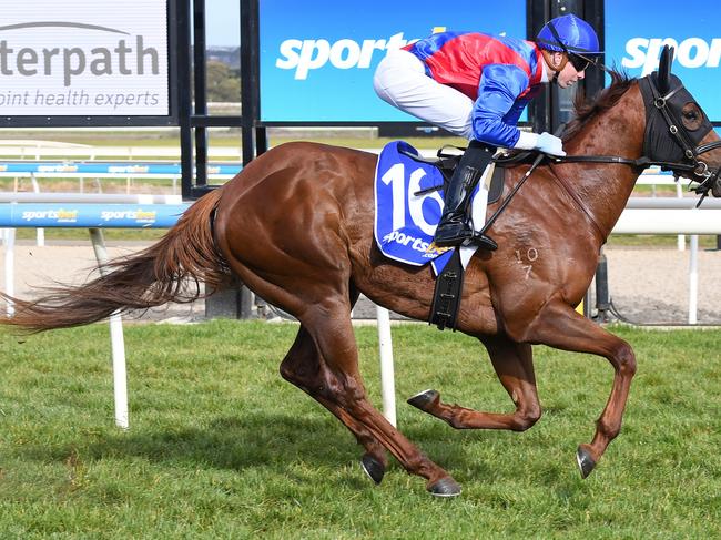 Peggy Selene ridden by Jye McNeil wins the Interpath: 4Cyte Joint Health 2YO Maiden Plate at Sportsbet-Ballarat Racecourse on June 14, 2020 in Ballarat, Australia. (Pat Scala/Racing Photos via Getty Images)