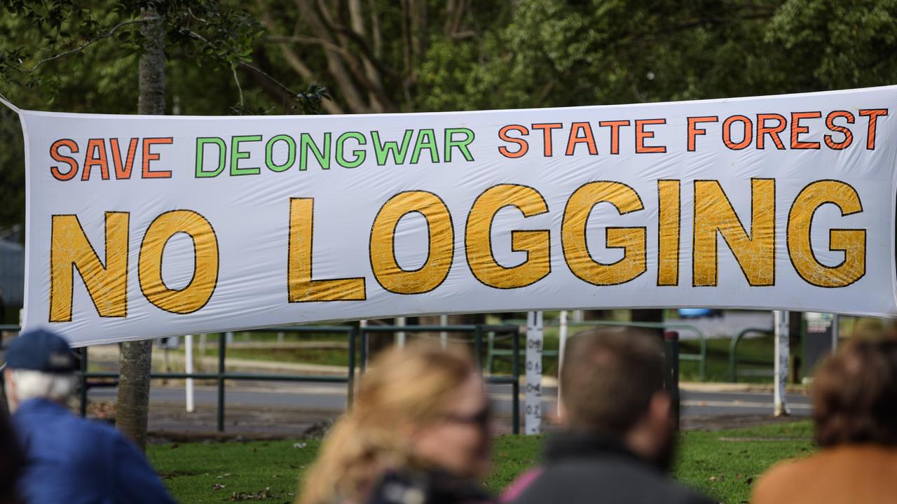 A banner with Save Deongwar State Forest No Logging hangs at Toowoomba's World Environment Day celebrations at Lake Annand Park, Sunday, June 1, 2025. Picture: Kevin Farmer
