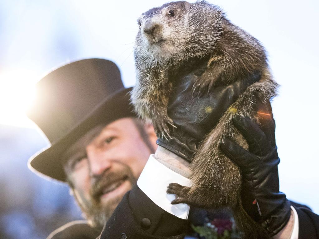 Groundhog Day: Punxsutawney Phil makes bold weather call | news.com.au