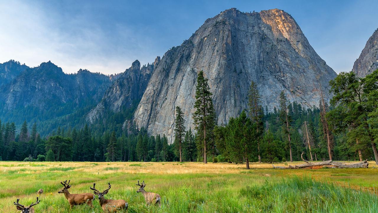 It’s a no-no for a common pronunciation of the US’ Yosemite National Park. Credit: iStock