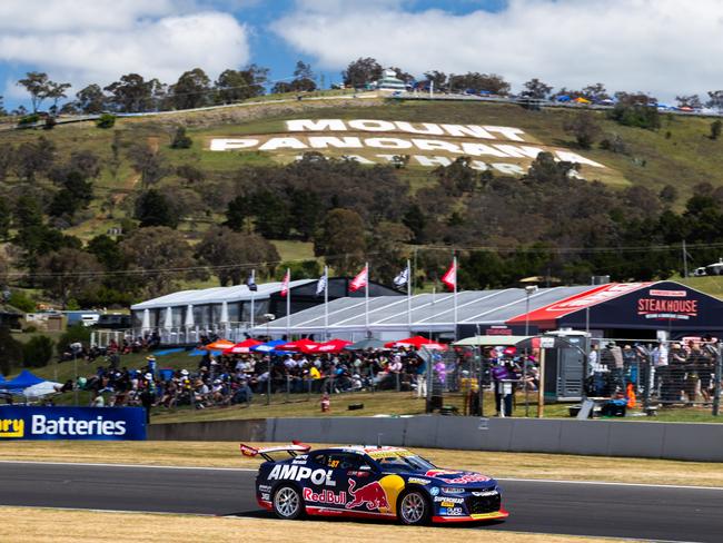 The snake delayed the co-driver qualifiers at Bathurst. Picture: Getty Images