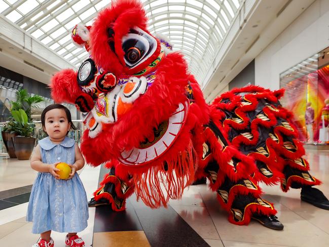 Shoppers gather to watch Chinese New Year celebrations at Chadstone Shopping Centre with the Lunar New Year on 29 January.Audrey 14mths holds an orange during the Dragon Dance performance. Picture: Ian Currie