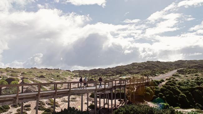 Seal Bay, Kangaroo Island, South Australia. Picture: Millie Brown