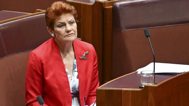 Senator Pauline Hanson will unveil One Nation’s election platform which includes heavy cuts to several government sectors. Picture: NewsWire/Martin Ollman