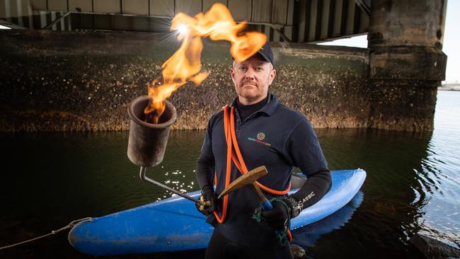 Dr Michael Sierp from Aquatic Biosecurity is killing oysters in the Port River with a hammer and blow torch to stop the spread of the POMS virus. Picture: Brad Fleet