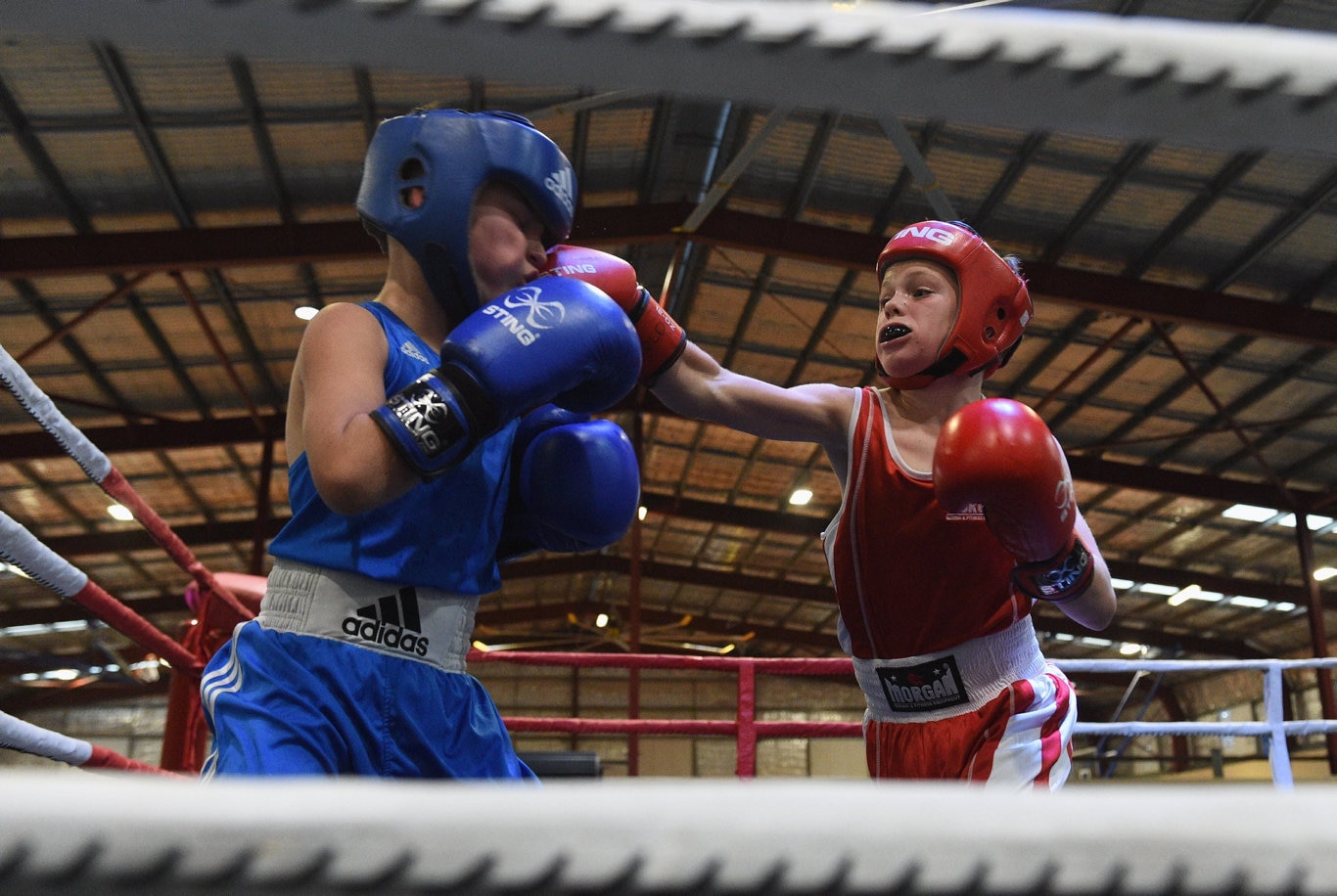 Fight Night Hervey Bay PCYC | The Courier Mail