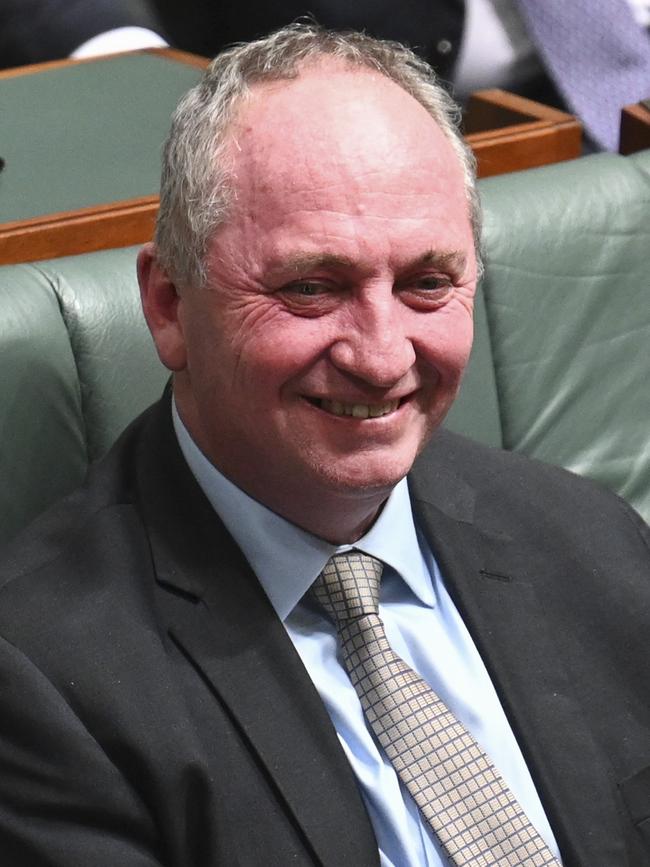 Barnaby Joyce. Picture: NewsWire/Martin Ollman