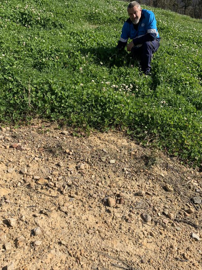 Ocean2earth’s Tim Crane, Kiah, NSW, in a trial plot where a crop of clover, rye grass and millet was grown in the marine compost in shale-rock country.