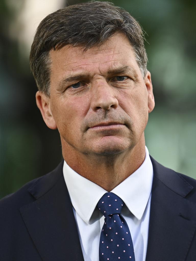 Shadow Treasurer Angus Taylor. Picture: Martin Ollman