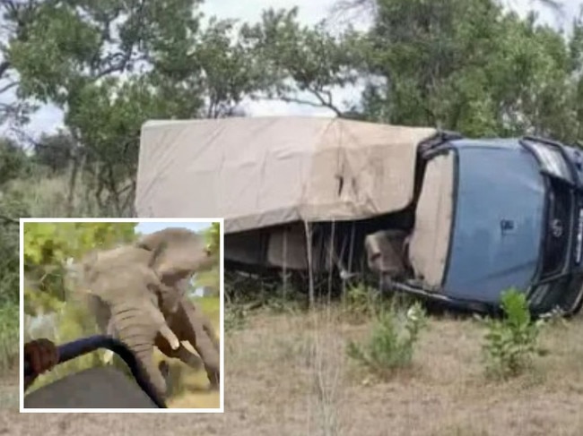 Shocking footage has captured the moment a 5-ton bull elephant in Zambia charged at a safari vehicle — flipping it over several times and killing an 80-year-old American woman during an expedition.