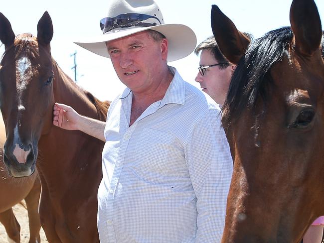 Deputy PM Barnaby Joyce. Picture: Kym Smith.