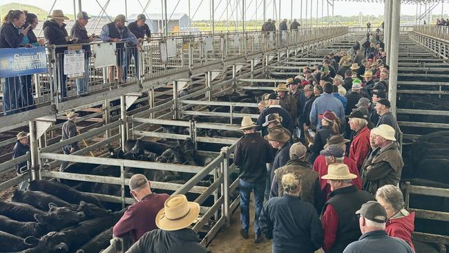 Buyers gather at the rail during the sale at Mortlake. Picture: Kate Dowler