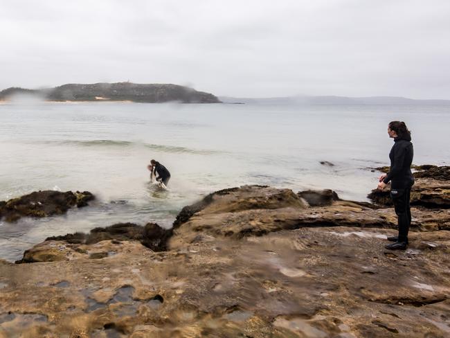 A juvenile dusky whaler being released. Picture: RitaKluge.com